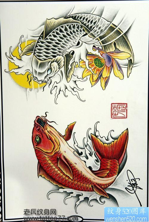 纹身520图库为你提供一张鲤鱼纹身手稿