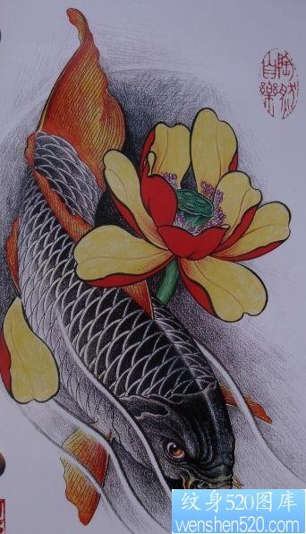 莲花鲤鱼纹身手稿纹身520图库为你提供