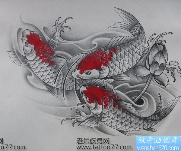 流行经典的锦鲤鲤鱼纹身手稿