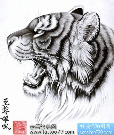 帅气的老虎虎头纹身手稿