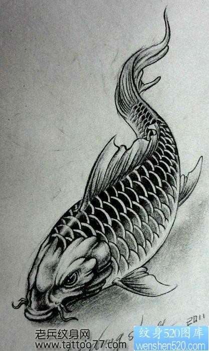 简单的鲤鱼纹身手稿