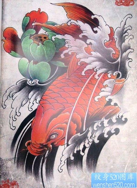 漂亮的彩色鲤鱼莲花纹身图片