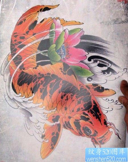 漂亮的彩色鲤鱼与荷花纹身手稿