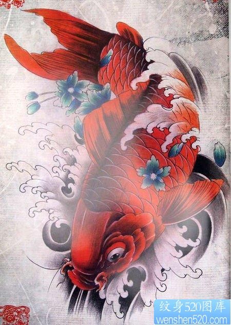 一张红色鲤鱼纹身手稿