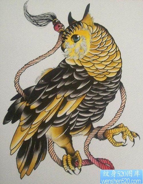 流行时尚的一张old school猫头鹰纹身手稿