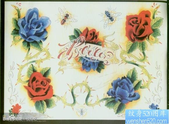 一组前卫流行的彩色玫瑰花纹身手稿