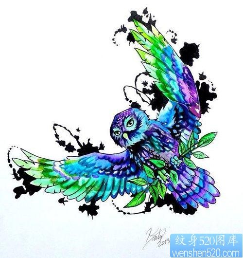 一张前卫流行的彩色猫头鹰纹身手稿