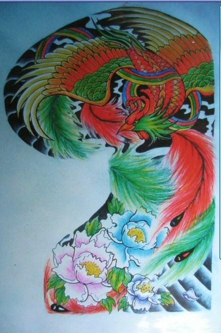 一款彩色的凤凰半甲纹身手稿图案