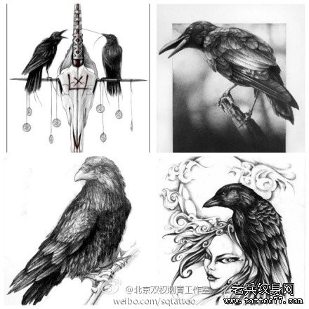 流行很酷的一组乌鸦纹身手稿