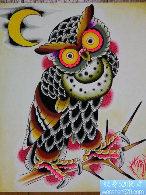流行很帅的猫头鹰纹身手稿