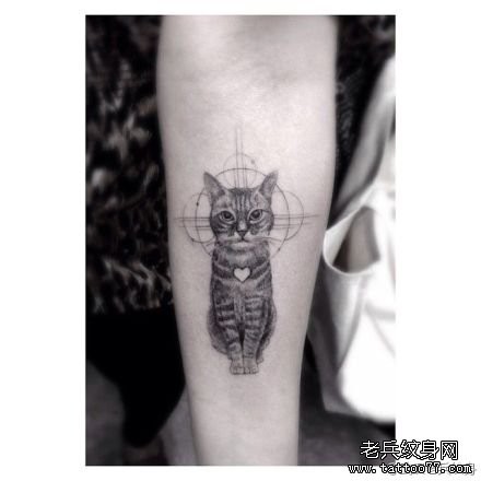 纹身520图库提供一张手臂猫咪纹身图片