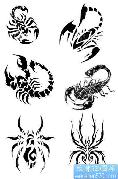 纹身520图库推荐一组蝎子蜘蛛纹身图片
