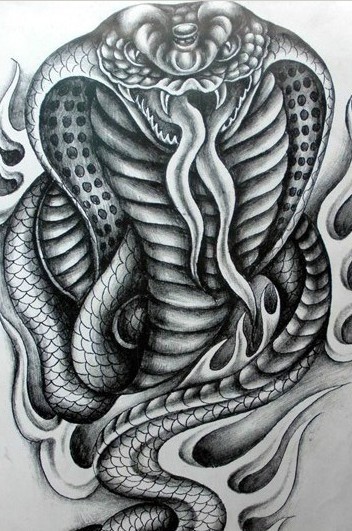 黑白蛇形纹身图案手稿