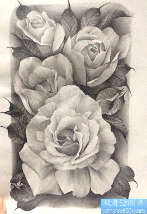 一张精致的素描玫瑰花纹身手稿