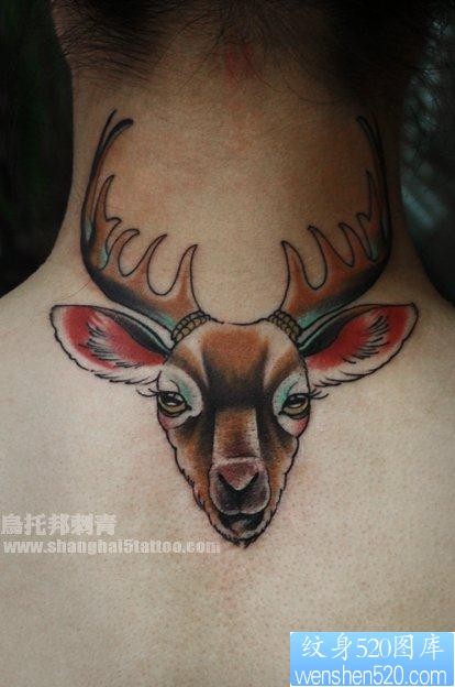 old school deer（鹿）纹身作品图案
