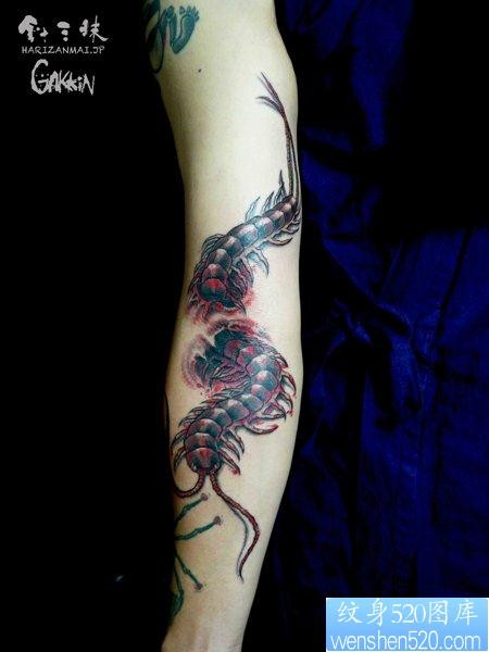 男生手臂超酷的蜈蚣纹身图片