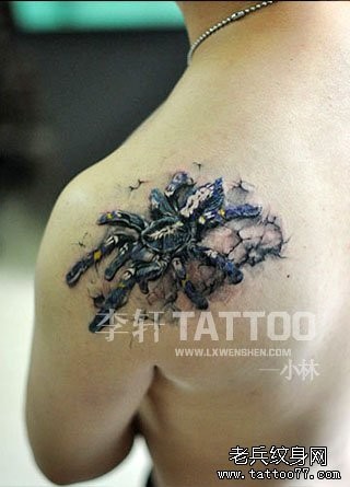 男性肩背超酷的蜘蛛纹身图片