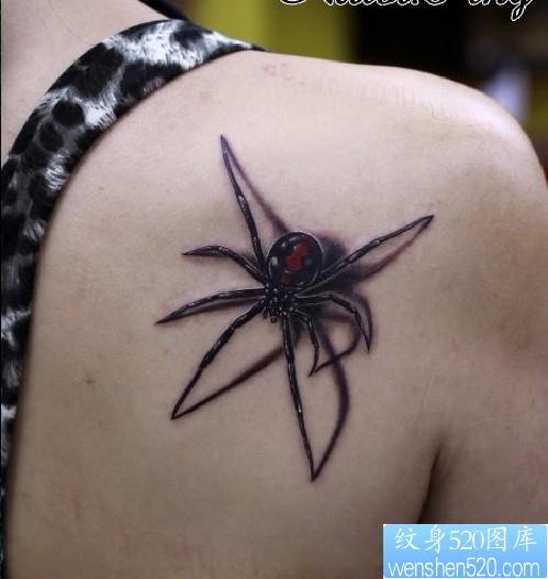 女性纹身图片：肩部彩色蜘蛛纹身图案