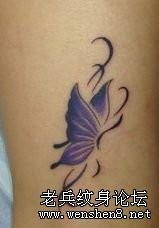 女性纹身图片之蝴蝶纹身图片（收藏）