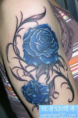 纹身图片：女性纹身图片之华丽绚丽的玫瑰纹身图片（精品）