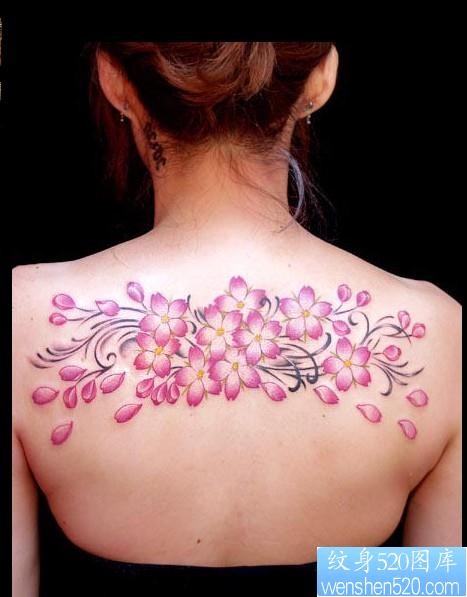 正规纹身图库：美女后背樱花纹身图片图案