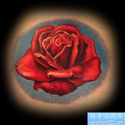 红色玫瑰花纹身图片图案