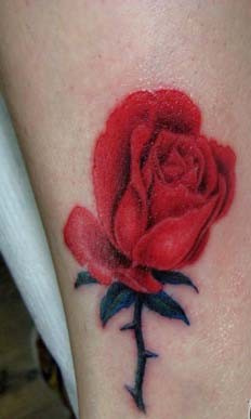 女性纹身图片:纹身图片之玫瑰纹身图片（精选多图）