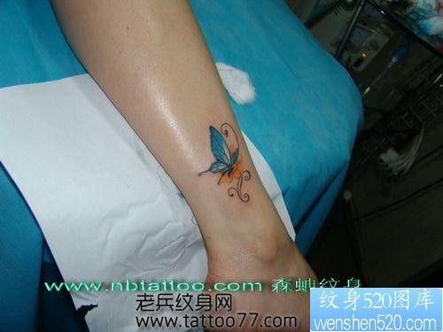 女人喜欢的纹身图片―蝴蝶纹身图片