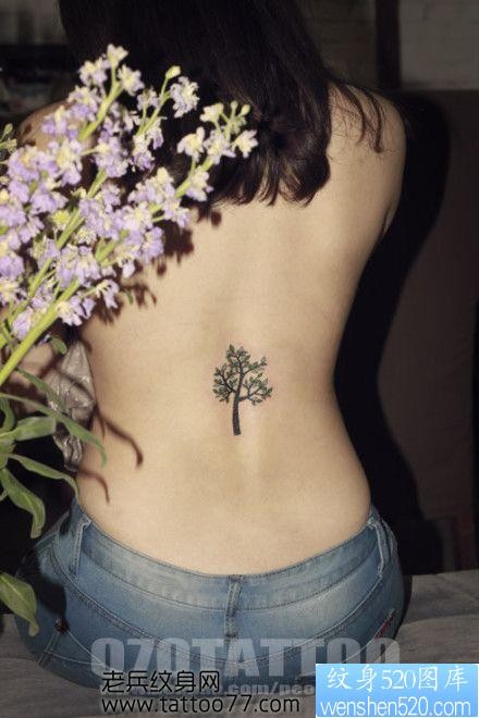 美女背部精美流行的图腾树纹身图片