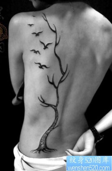 美女背部流行唯美的图腾树与小鸟纹身图片