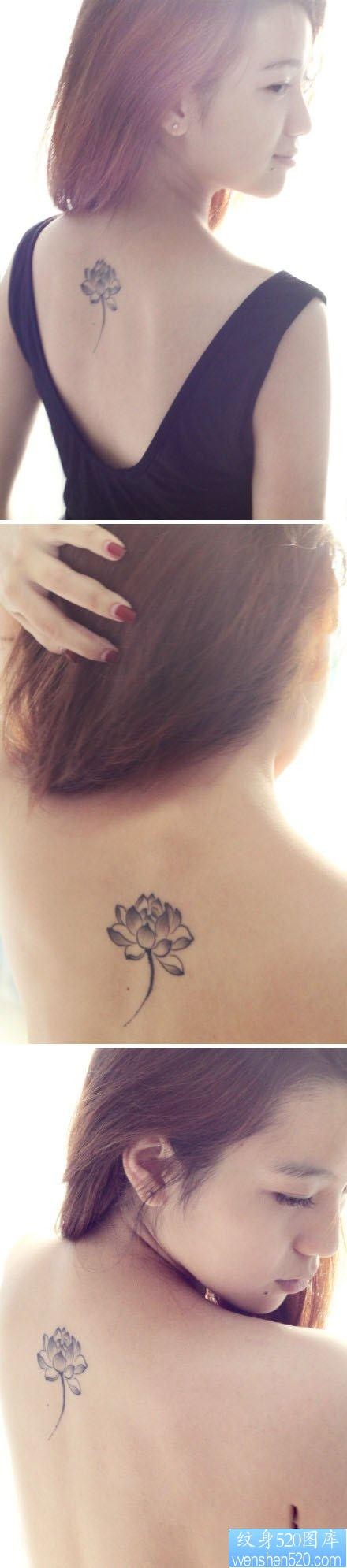 美女背部流行精美的黑灰莲花纹身图片