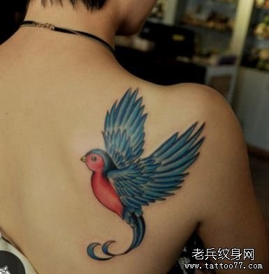 一张美女肩背彩色小鸟纹身图片