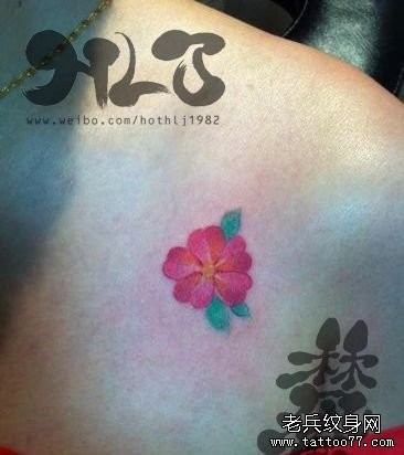 女孩子肩膀处小巧的樱花纹身图片