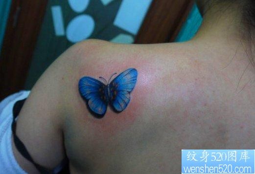 美女肩部漂亮的彩色蝴蝶纹身图片