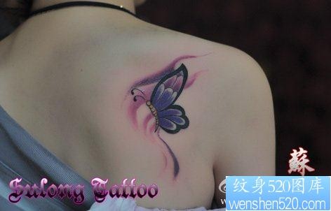 女人肩背漂亮的彩色蝴蝶纹身图片