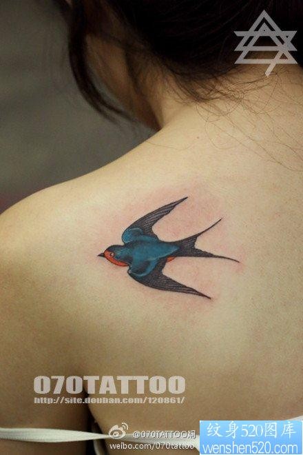 女人肩背彩色小燕子纹身图片