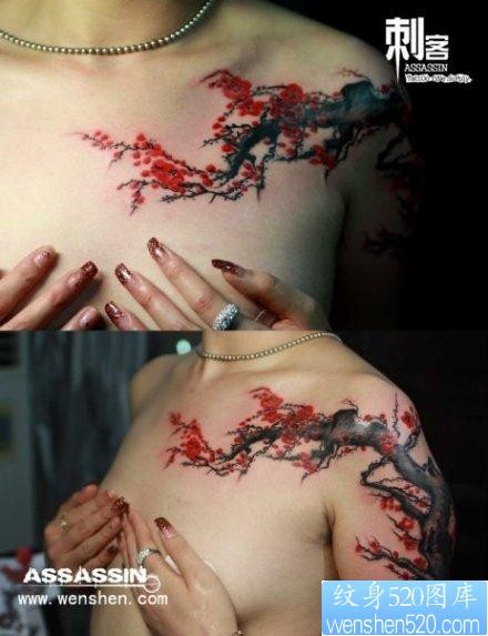 美女手臂到胸部漂亮流行的梅花纹身图片