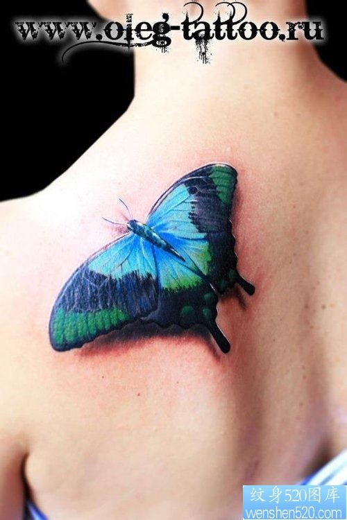 美女肩背漂亮流行的彩色蝴蝶纹身图片