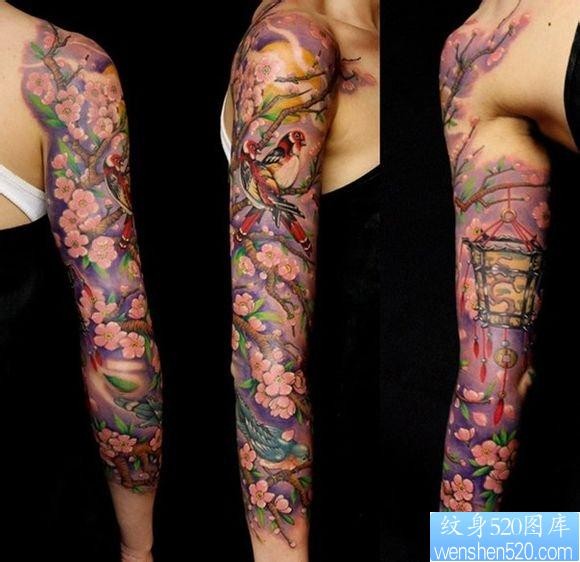 美女手臂漂亮的彩色花臂喜鹊与梅花纹身图片