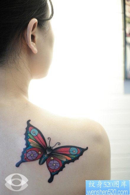 美女肩背漂亮前卫的彩色蝴蝶纹身图片