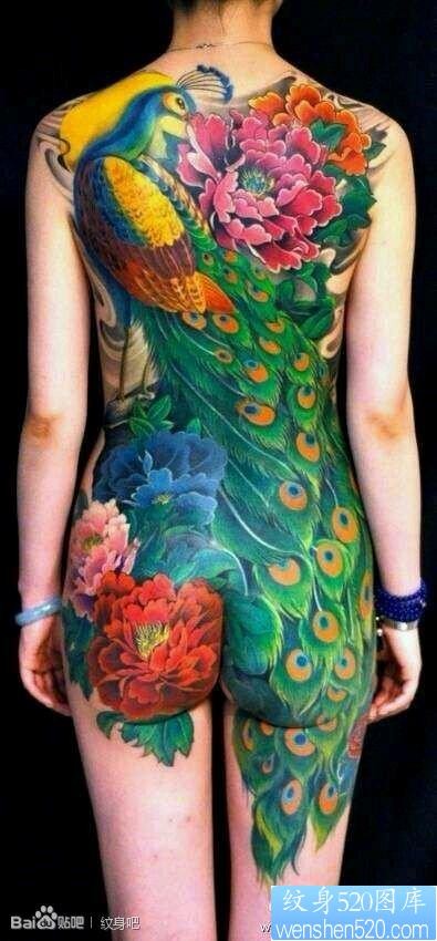 漂亮精美的美女满背孔雀纹身图片