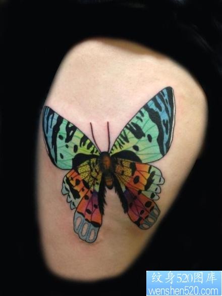 一张漂亮好看的彩色蝴蝶纹身图片