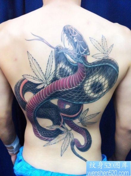 蛇纹身图片：背部蛇纹身图案