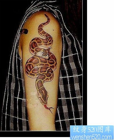 蛇纹身图片：一张手臂彩色蛇纹身图案