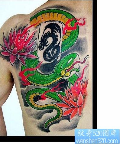蛇纹身图片：肩部彩色蛇莲花纹身图案
