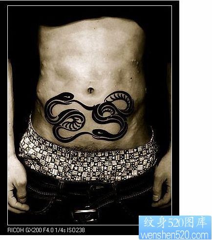 蛇纹身图片：腹部图腾蛇纹身图案