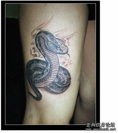蛇纹身图片：一张腿部蛇纹身图案