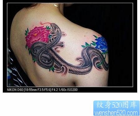 美女肩部蛇彩色牡丹花纹身图案
