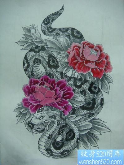 蛇与牡丹手稿纹身图片