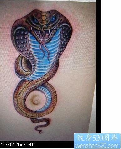 蛇纹身图片：背部彩色蛇纹身图案
